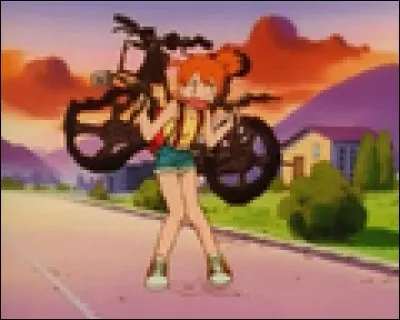 Comment Sacha a-t-il brisé la bicyclette d'Ondine ?