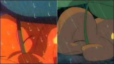 À qui appartenait le Salamèche abandonné que Sacha a recueilli sous la pluie ?