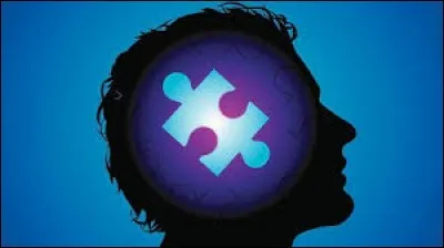 Comment s'appelle le cerveau du plaisir et de la motivation ?