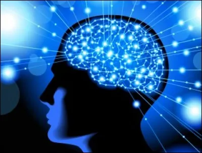 Un synonyme de l'adjectif "intelligent" :