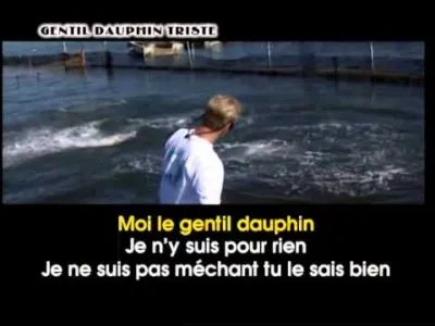 "Gentil dauphin triste" : Artiste n°1 ou artiste n°2 ?