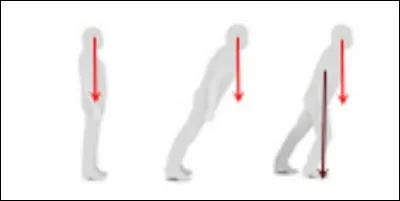 Comment se nomme la surface sur laquelle la projection du centre de gravité d'un solide sur le sol doit se trouver pour garantir l'équilibre ?