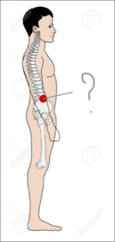 Le point où serait concentrée toute la masse du corps est :