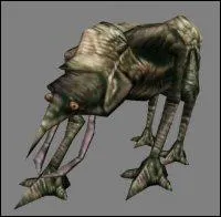 Comment s'appelle le dieu qui vit  Vivec ?