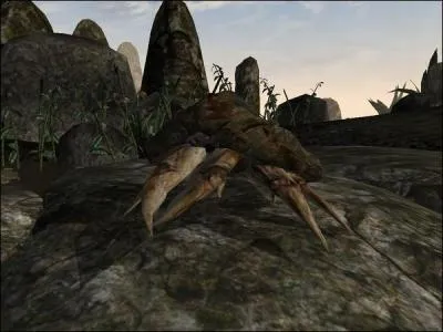 Quel est ce monstre ?