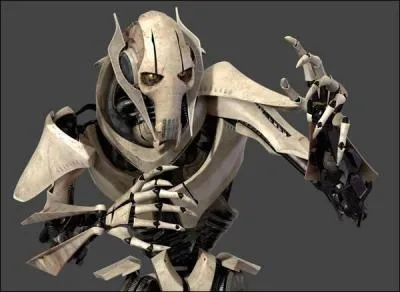 Qui l'a initi aux arts Jedi ?