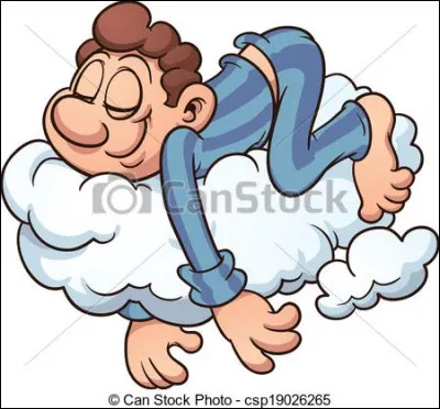 Le sommeil paradoxal existe vraiment.