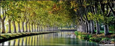 Le canal du Midi relie Lyon &agrave; la mer M&eacute;diterran&eacute;e.