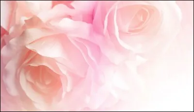 A quel poète doit-on "Mignonne, allons voir si la rose", écrit en 1545 ?