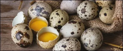 Ceux-là, par contre, sont un vrai délice.
Quel animal pond ces petits ufs ?