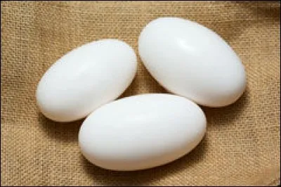 Il n'y a pas que les oiseaux qui produisent des ufs, les reptiles et même les mammifères dans un certain sens. Selon vous, quels animaux pondent des ufs, de manière générale dans le sable et dont le sexe se déterminera par la température d'incubation ?