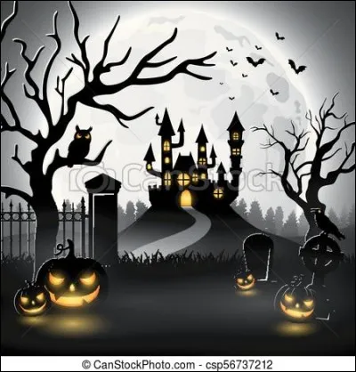 Que précisent deux squelettes amoureux qui arrivent dans un bel hôtel pour demander une chambre ?