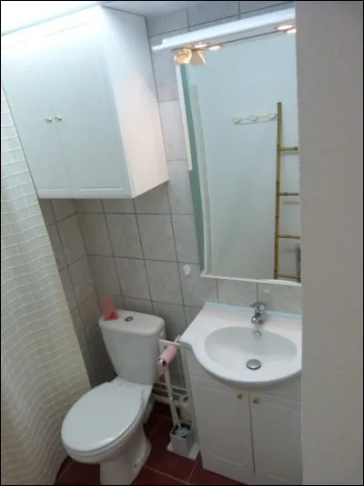 Enfin, dans les WC, quelle est la couleur du papier toilette ?