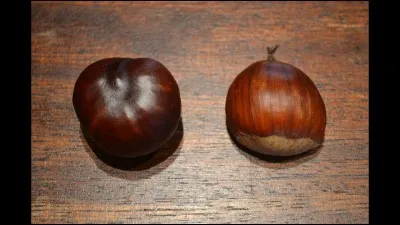 Quelle est cette couleur ?