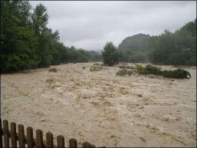 Le premier n'est pas grand, c'est le...