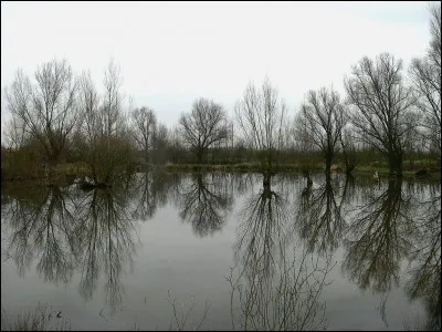 Elle est vraiment très attachante, c'est l'...