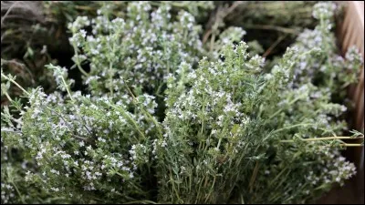 Au fond, il est très fidèle, c'est le...