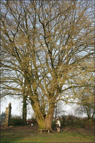 Véhicule de pope, c'est le...