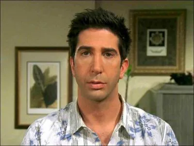 Dans quel film d'aventure, peut-on voir apparatre David Schwimmer alias Ross Geller dans 'Friends' ?