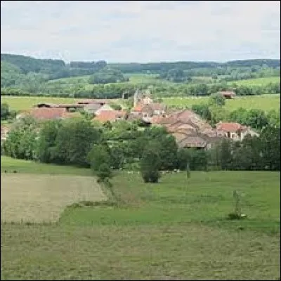 Nous sommes de nouveau dans le Grand-Est, à Grandchamp. Petit village de 70 habitants, dans l'arrondissement de Langres, il se situe dans le département ...