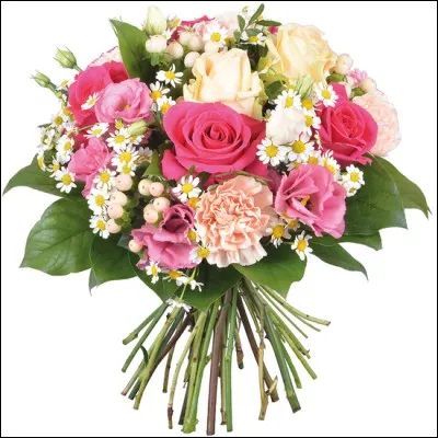 "Le pouvoir des fleurs" : Est-ce une chanson de Johnny Hallyday ?