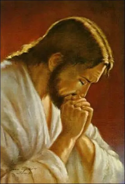 "C'est ma prière" : Est-ce une chanson de Johnny Hallyday ?