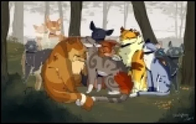 Tu te réveilles. Tu vois un guerrier étoilé se diriger vers toi. Il prend ta patte et souffle dessus. Les blessures se referment de suite et tu vois que ta patte est indemne ! Comment réagis-tu ?