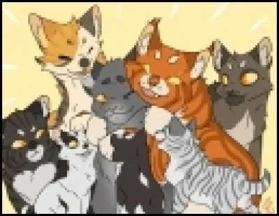 Tu revois, avec ton apprenti, Perle de Pluie durant la nuit. Il te provoque pour l'avoir convaincu de ne plus le voir. Puis, il attaque Nuage de Glace. Que fais-tu ?