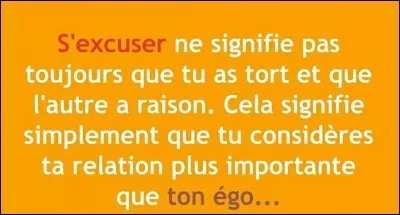 Tu as une réunion avec le chef, Étoile brillante. Ce dernier t'explique les conséquences de cette attaque...