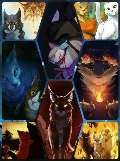 Le lendemain, tu vas ramasser des branches pour la pouponnière. Le sur-lendemain, tu dois aider la guérisseuse à trouver des plantes. Après, tu dois nettoyer la pouponnière. Ensuite, tu dois aller chercher de l'eau pour tout le monde...