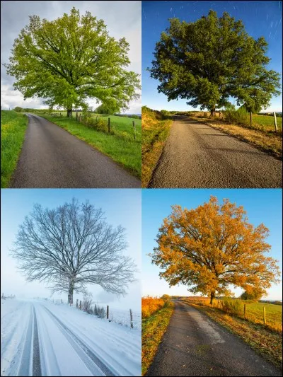 En quelle saison es-tu né(e) ?