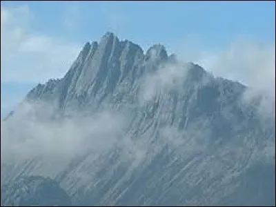 L'altitude du Puncak Jaya, le point culminant d'Océanie, est plus élevée que celle du mont Blanc.