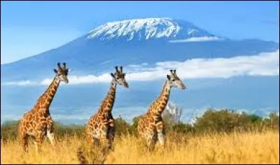 Quel pays abrite le Kilimandjaro ?