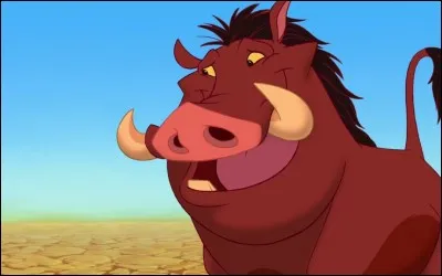 Quel est le nom de ce phacochère ?