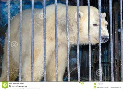 Tu es enfermé de force.