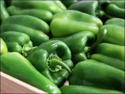 Quel est le nom de la douzième station éponyme d'une ville belge ?