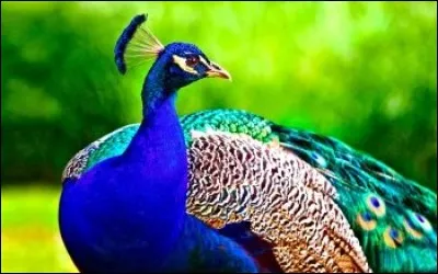 Qui a écrit "Autour de la Lune" ?