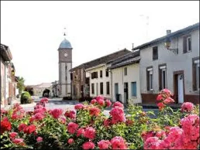 Nous partons maintenant en Occitanie, à Castelferrus. Commune de l'arrondissement de Castelsarrasin, elle se situe dans le département ...