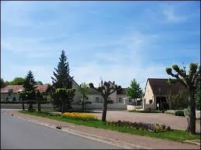 Commune du Centre-Val-de-Loire, dans la région naturelle du Boischaut Nord, Menetou-sur-Nahon se situe dans le département ...