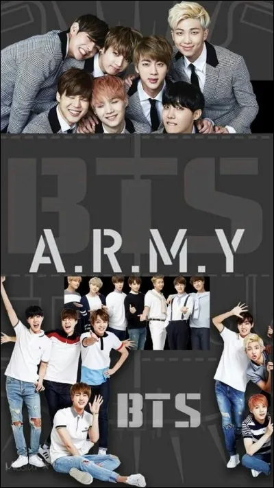 Que signifie le therme "ARMY" ? (En français !)