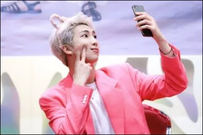 Quel Idol est l'ami de RM ?