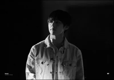 Dans le MV "War of Hormone" V touche les fesses d'un des membres. Lequel ?