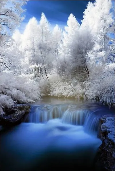 Simon van Booy nous écrit un roman nostalgique :