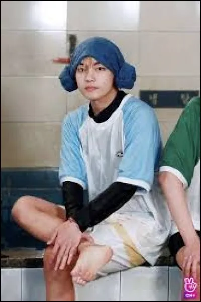 Quel est le plat préféré de V en sachant qu'il aime la viande ?