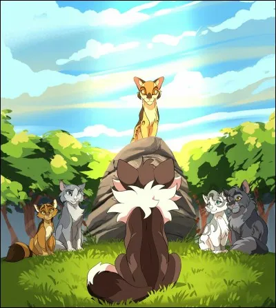 Dans quel nid aimes-tu dormir ?