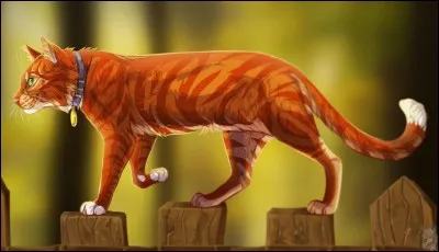 Aimes-tu les bip&egrave;des ?