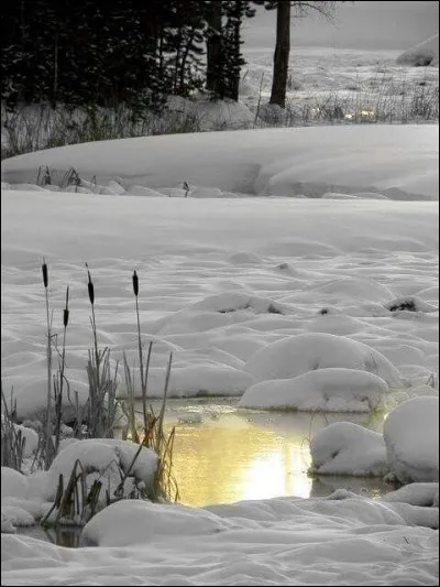A-t-il écrit "L'Or sous la neige" ?