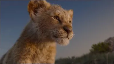 Comment s'exprime le lion ?