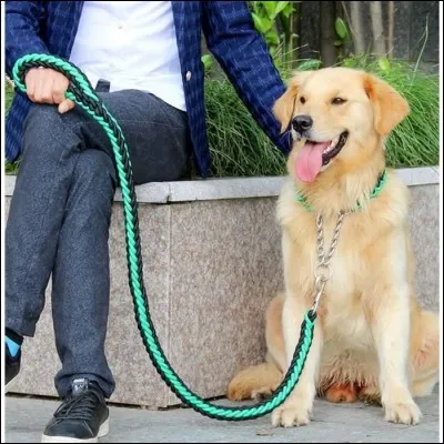 Reste-t-il calme quand tu marches dans la rue, quand il rencontre un inconnu ou un autre chien ?