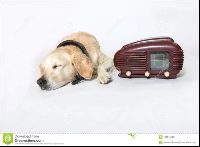 Les bruits forts et les mouvements maladroits le d&eacute;rangent-il ?